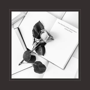 搞基高清无码视频
